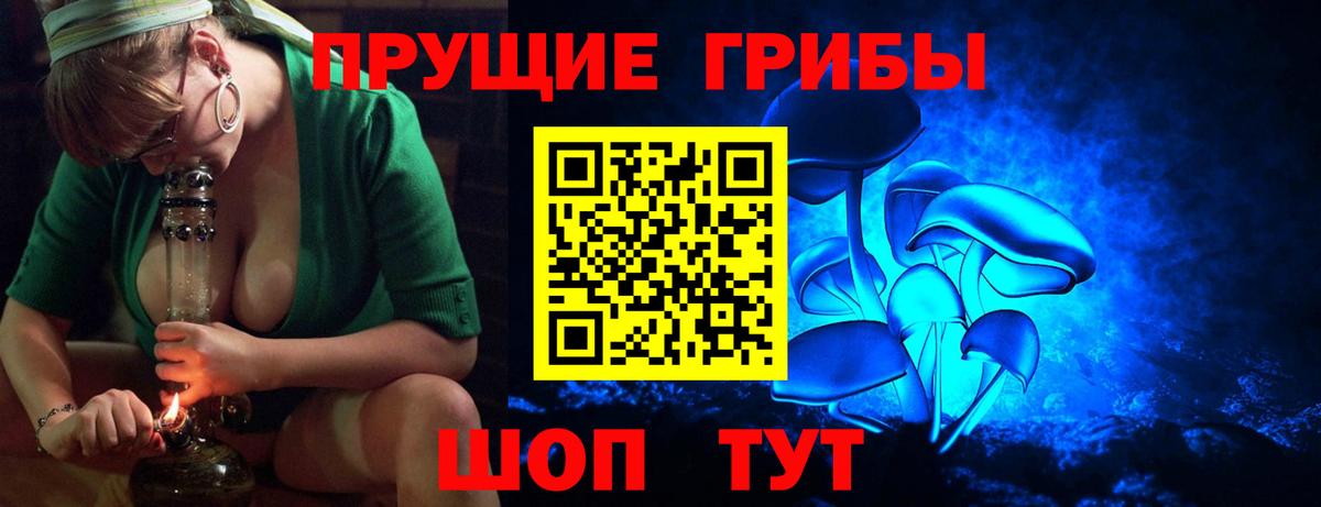 Галлюциногенные грибы Psilocybine cubensis Курган