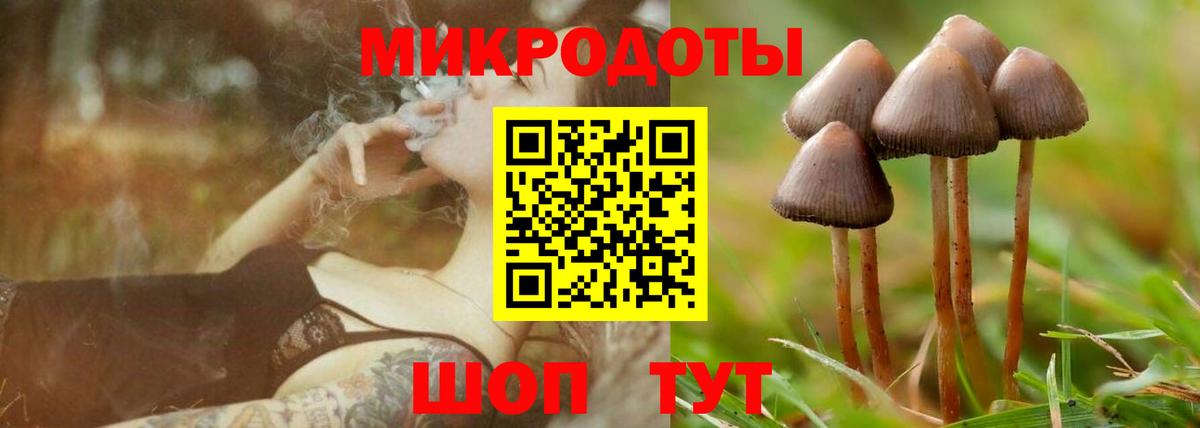 Псилоцибиновые грибы Psilocybine cubensis  Вход с VPN  Курган  Псилоцибиновые грибы Psilocybine cubensis 